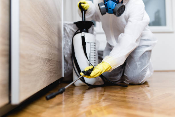 Best Flea Control Services  in Thompsonville, PA