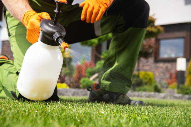 Best Best Pest Control Companies  in Thompsonville, PA