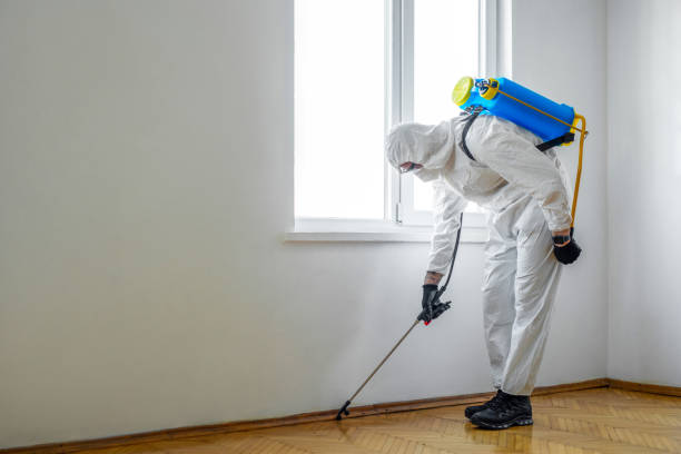 Best Best Pest Control Companies  in Thompsonville, PA