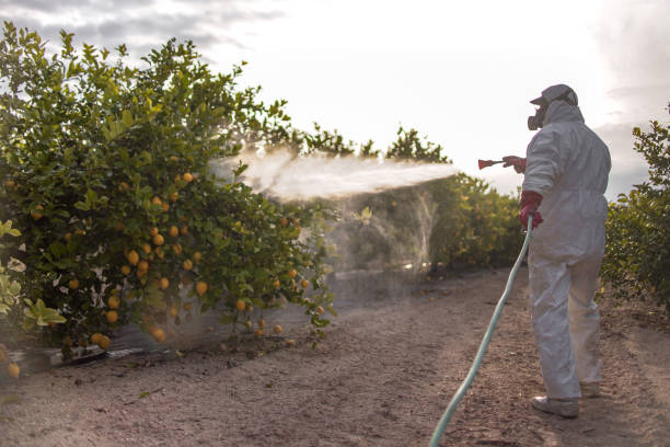 Best Termite Control Services  in Thompsonville, PA