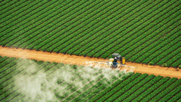 Reliable Thompsonville, PA Pest Control Solutions