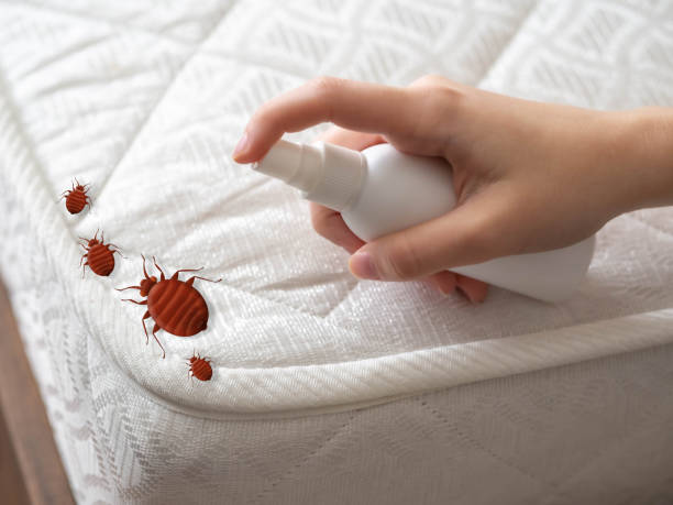 Best Spider Control Near Me  in Thompsonville, PA
