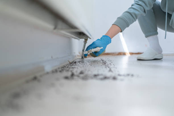 Best Insect Control  in Thompsonville, PA