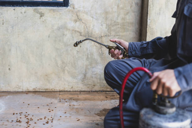 Best Pest Removal Services  in Thompsonville, PA
